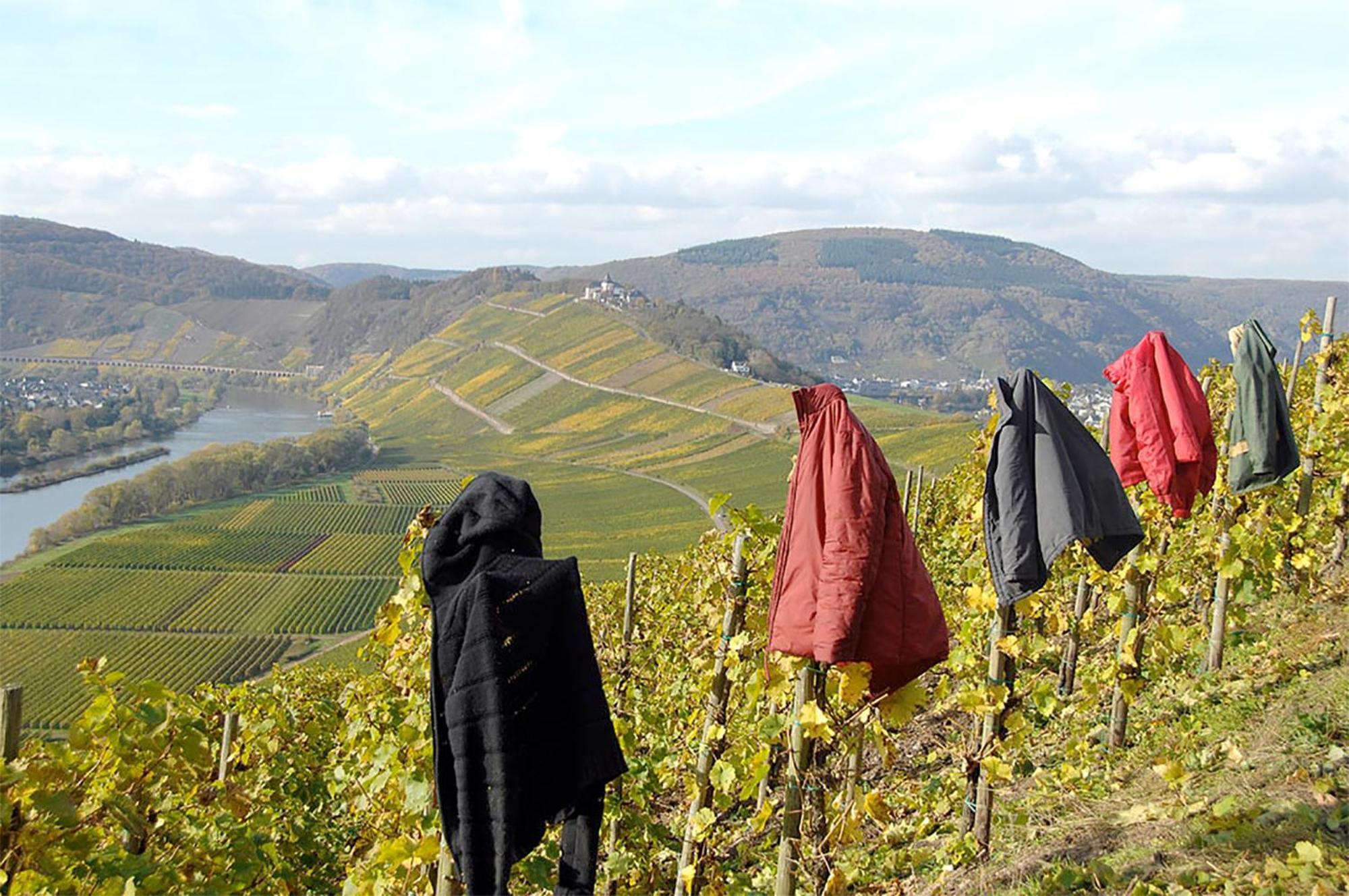Weingut Rosenbaum Daire Briedel Dış mekan fotoğraf