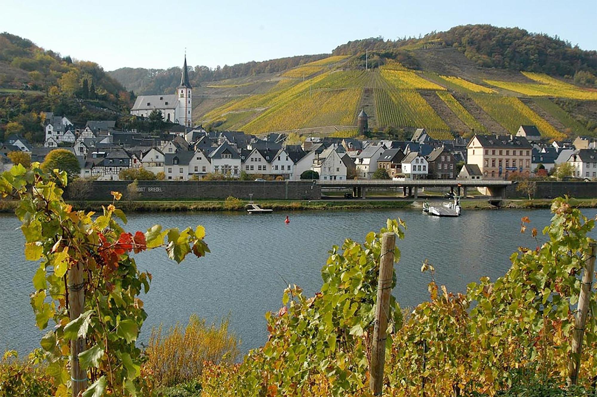 Weingut Rosenbaum Daire Briedel Dış mekan fotoğraf