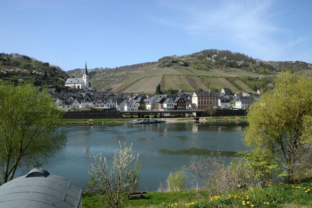 Weingut Rosenbaum Daire Briedel Dış mekan fotoğraf