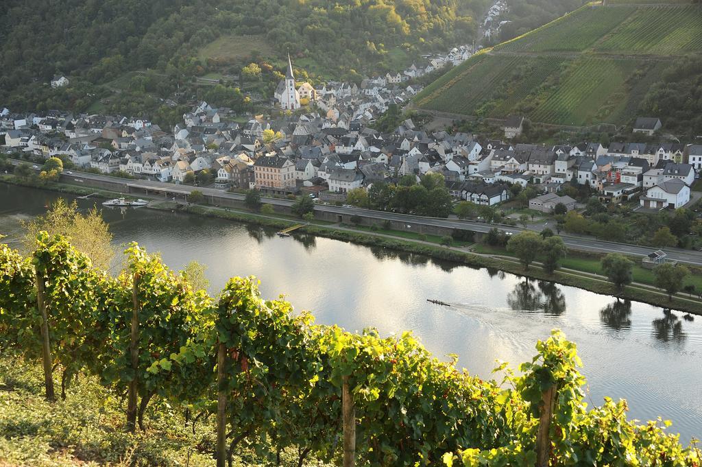 Weingut Rosenbaum Daire Briedel Dış mekan fotoğraf