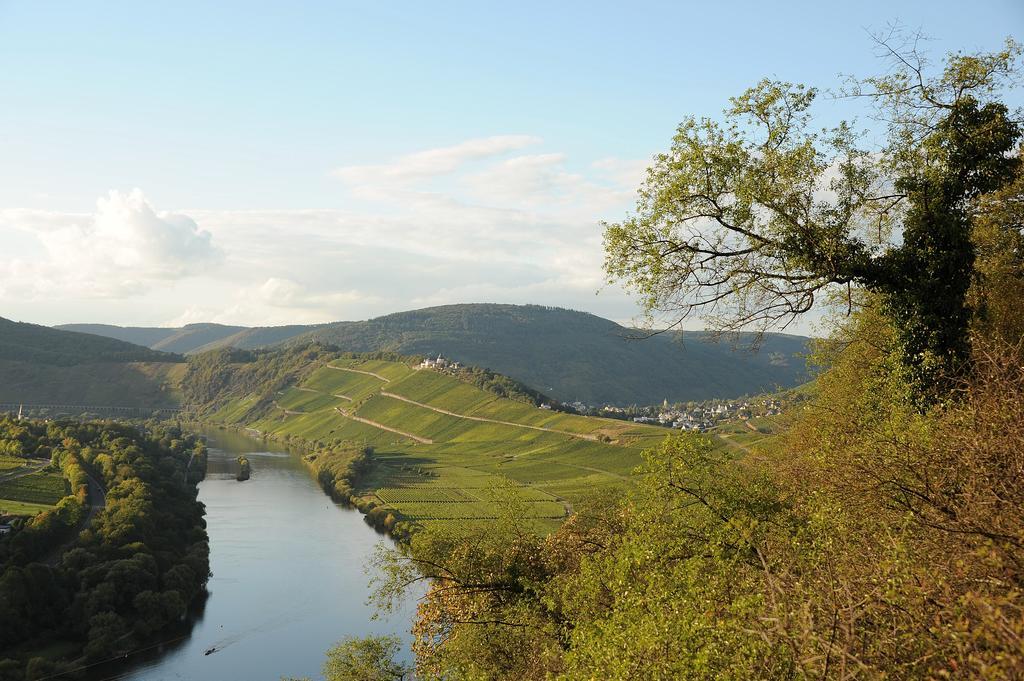 Weingut Rosenbaum Daire Briedel Dış mekan fotoğraf